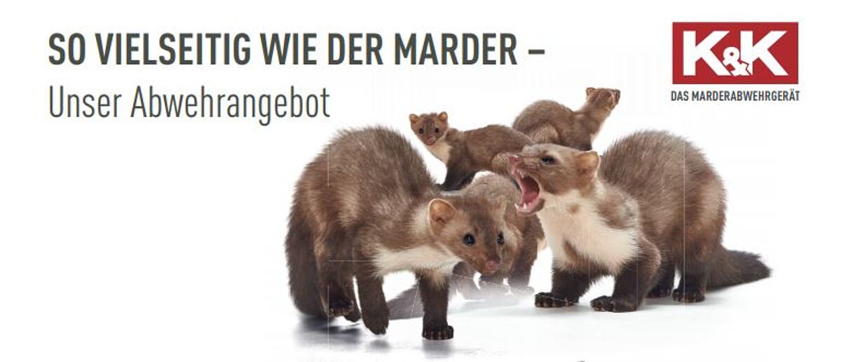 Marderschutz für Ihren BMW/MINI error_file_does_not_exist